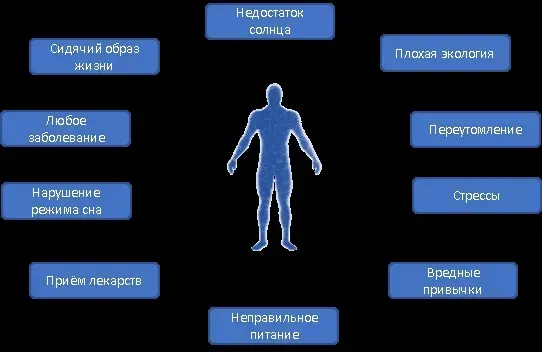 Micoplan : в составе только натуральные ингредиенты.